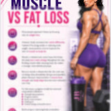 Recomp Performance - 12 Week Muscle Building Self Coaching Program
